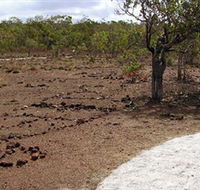 Wurrwurrwuy Garanhan Macassan Beach Interpretive Walk - Accommodation in Surfers Paradise
