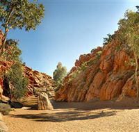 Emily and Jessie Gaps Nature Park - Accommodation in Surfers Paradise
