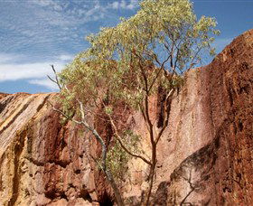 Ochre Pits - Accommodation in Surfers Paradise 0