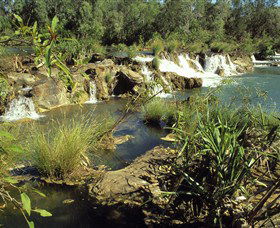 Flora River Nature Park - Accommodation in Surfers Paradise 0