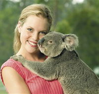 Paradise Country Aussie Farm Tour - Accommodation in Surfers Paradise