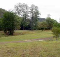 Brooyar State Forest - Accommodation in Surfers Paradise