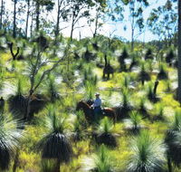 Bicentennial National Trail - Section 5 - Accommodation in Surfers Paradise