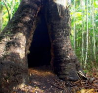 Tewantin National Park - Accommodation in Surfers Paradise