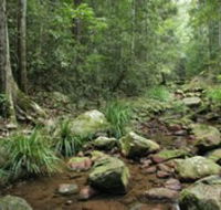Amamoor State Forest - Accommodation in Surfers Paradise