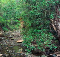 Mudlo National Park - Accommodation in Surfers Paradise