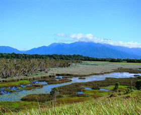 Eubenangee Swamp National Park - Accommodation in Surfers Paradise 0