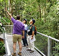 Daintree Discovery Centre - Accommodation in Surfers Paradise