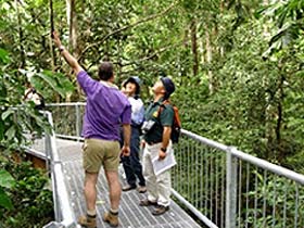 Daintree Discovery Centre - Accommodation in Surfers Paradise 0
