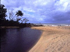 Russell River National Park - Accommodation in Surfers Paradise 0