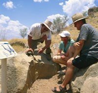 Riversleigh Fossil Fields - Accommodation in Surfers Paradise