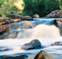 Crows Nest Falls - Accommodation in Surfers Paradise