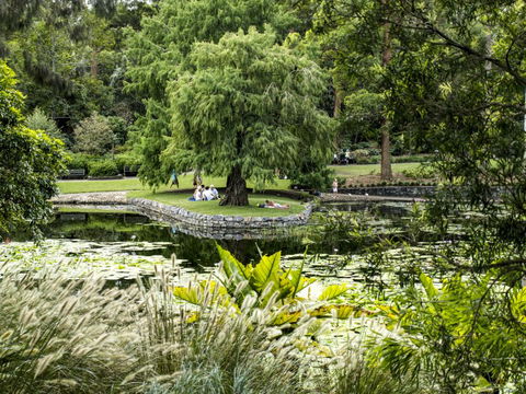 Brisbane Botanic Gardens Mount Coot-tha - Accommodation in Surfers Paradise 1