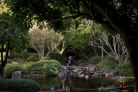 Brisbane Botanic Gardens Mount Coot-tha - Accommodation in Surfers Paradise 2