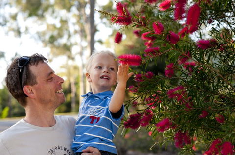 Brisbane Botanic Gardens Mount Coot-tha - Accommodation in Surfers Paradise 4