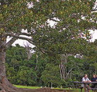 Ravensbourne National Park - Accommodation in Surfers Paradise