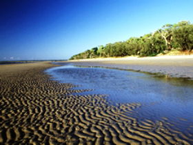 Kinkuna Section - Accommodation in Surfers Paradise 0
