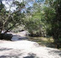 Davies Creek National Park and Dinden National Park - Accommodation in Surfers Paradise