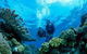 Coral Gardens Dive Site - thumb 0