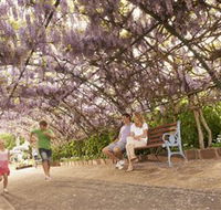 Laurel Bank Park - Accommodation in Surfers Paradise