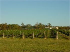 Kingsley Grove Estate - Accommodation in Surfers Paradise 0