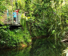 Djiru National Park - Accommodation in Surfers Paradise 0