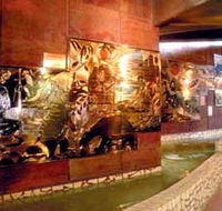 Riversleigh Fossil Centre - Accommodation in Surfers Paradise