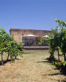 Shantell Vineyard - Accommodation in Surfers Paradise 0