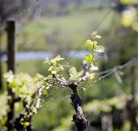Elan Vineyard and Winery - Accommodation in Surfers Paradise