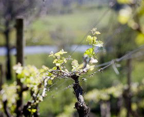 Elan Vineyard And Winery - Accommodation in Surfers Paradise 0