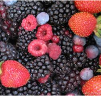 Gentle Annie Berry Gardens - Accommodation in Surfers Paradise
