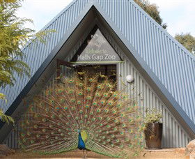 Halls Gap Zoo - Accommodation in Surfers Paradise 0