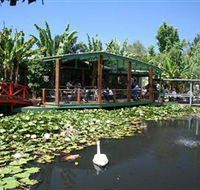 Blue Lotus Water Garden - Accommodation in Surfers Paradise