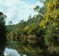 Warrandyte State Park - Accommodation in Surfers Paradise