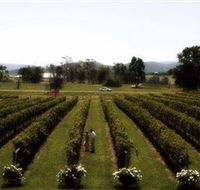 Rochford Wines - Accommodation in Surfers Paradise