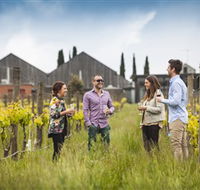 Willow Creek Vineyard - Accommodation in Surfers Paradise