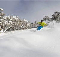 Mt Buller and Mt Stirling Alpine Resort - Accommodation in Surfers Paradise
