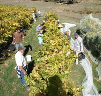 Blakes Estate Winery - Accommodation in Surfers Paradise