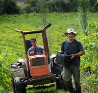 Kellybrook Winery  Kelly Brothers Cider - Accommodation in Surfers Paradise