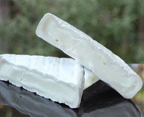 Red Hill Cheese - Accommodation in Surfers Paradise 0