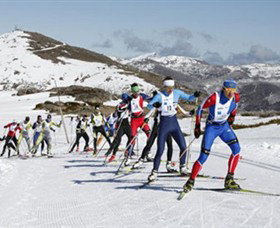  Accommodation in Surfers Paradise