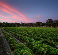 Amherst Winery - Accommodation in Surfers Paradise