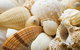 Anglesea Beach Club - thumb 0