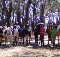 Bellarine Horse Riding Centre - Accommodation in Surfers Paradise