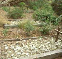 Collins Settlement Historic Site - Accommodation in Surfers Paradise