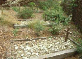 Collins Settlement Historic Site - Accommodation in Surfers Paradise 0