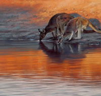 Steve Morvell Wildlife Art - Accommodation in Surfers Paradise