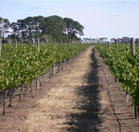 Mount Beckworth Wines - Accommodation in Surfers Paradise