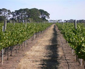 Mount Beckworth Wines - Accommodation in Surfers Paradise 0