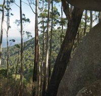 Gulaga National Park - Accommodation in Surfers Paradise